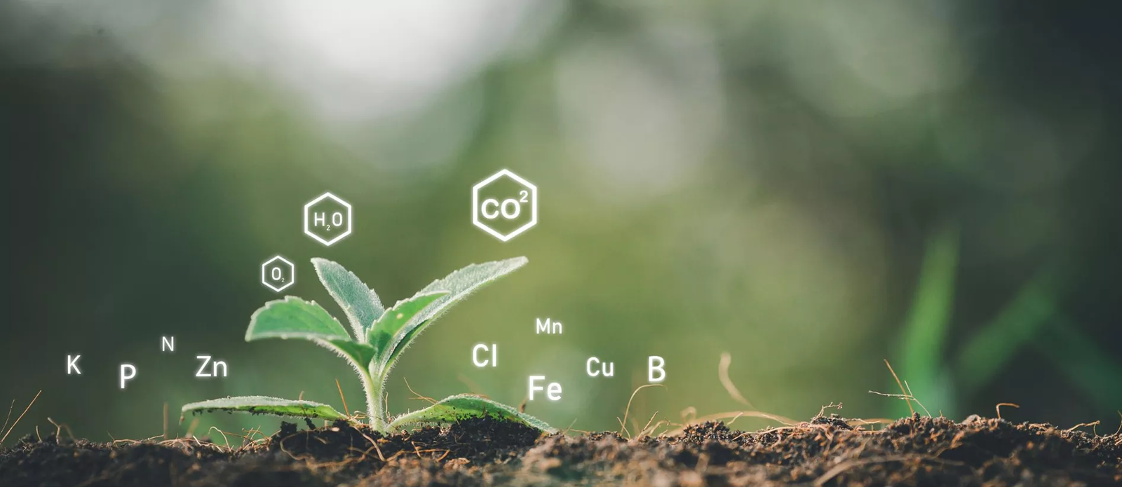 image_2025-09-24_144041999